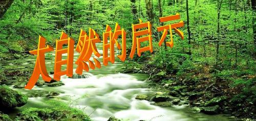 草原上的少年，用大自然的力量征服高考（草原上的少年，用大自然的力量征服高考）