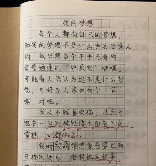 我的梦想——实现无限可能