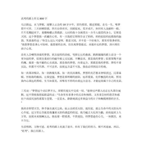 梦想之路（有你陪伴）