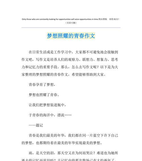 梦想之火——以昂扬青春，点燃梦想（一段年轻人的奋斗之路）