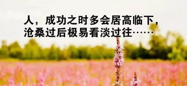 斗志昂扬的励志的好句有哪些？如何在日常生活中应用这些好句？