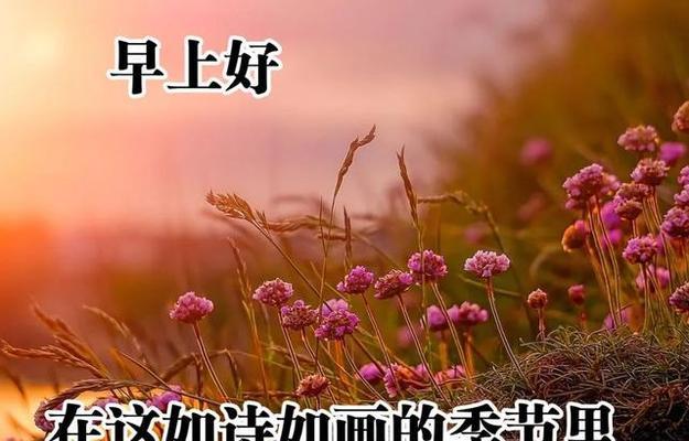 抖音最暖心的早安说说有哪些？如何找到并分享？