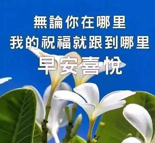 抖音最暖心的早安说说有哪些？如何找到并分享？