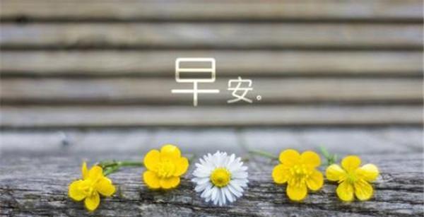 抖音11月早安句子有哪些？如何挑选适合自己的早安句子？