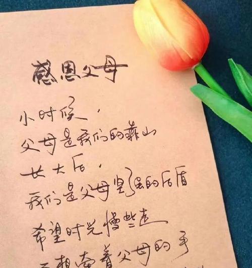 感恩节经典好句有哪些？如何在节日中表达感激之情？