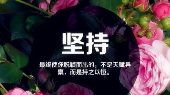 抖音最火的励志说说句子有哪些？如何找到并使用它们激励自己？