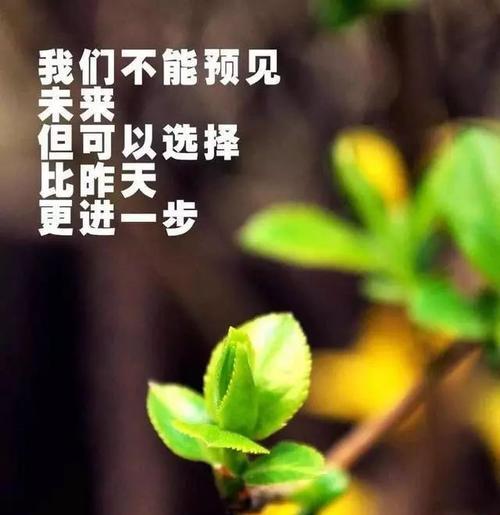 抖音最火的励志句子有哪些？如何运用到日常生活中？