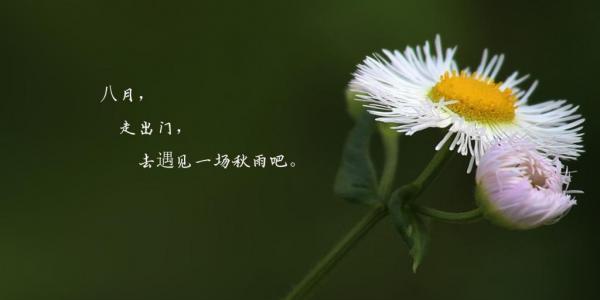 抖音最火八月你好朋友圈说说怎么发？有哪些创意文案推荐？
