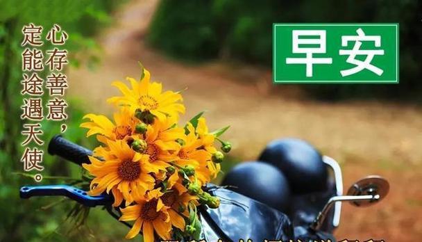 抖音最火八月第一天早安语录是什么？如何找到最新最热门的早安语录？