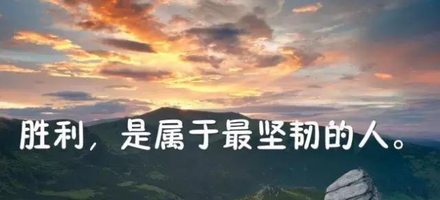 抖音中唯美励志的好句子有哪些？如何找到并使用这些句子？