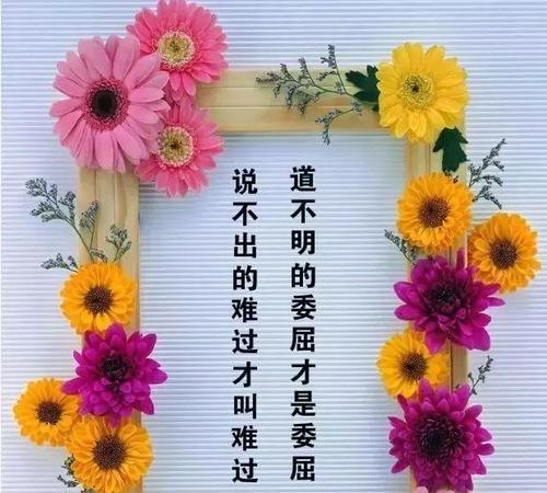 抖音中品味人生的好句子有哪些？如何找到并分享这些句子？