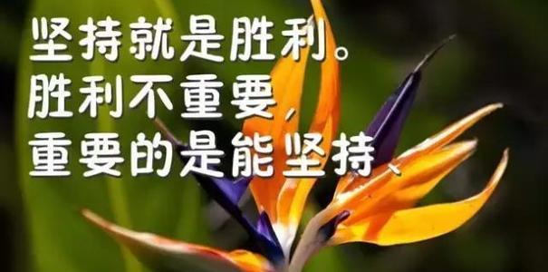 抖音励志感恩好句子有哪些？如何运用到日常生活中？