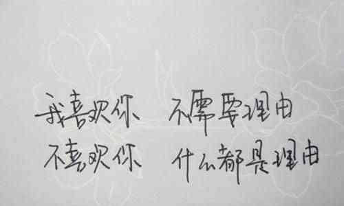 抖音中的文艺好句子有哪些？如何找到并分享这些句子？
