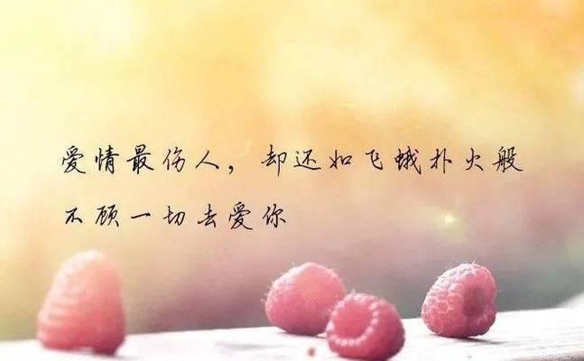 抖音中的唯美好句子有哪些？如何找到并分享这些句子？