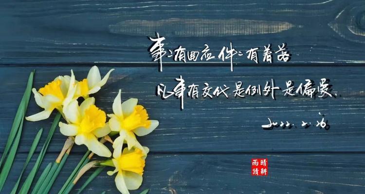 抖音中的唯美好句子有哪些？如何找到并分享这些句子？