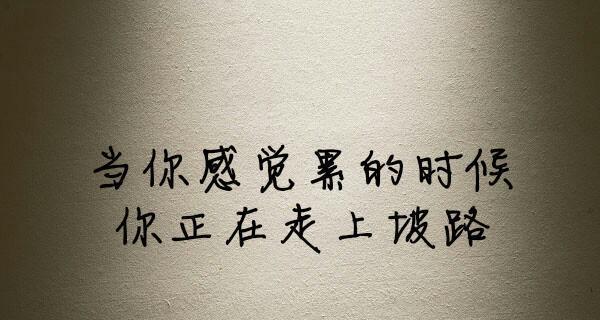 抖音中的简短励志好句子有哪些？如何运用到日常生活中？