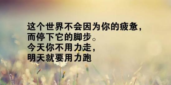 抖音中比较常用的好句子有哪些？如何巧妙运用？