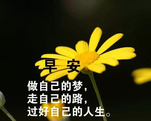 抖音早安励志句子说说怎么找？如何挑选适合自己的励志语录？