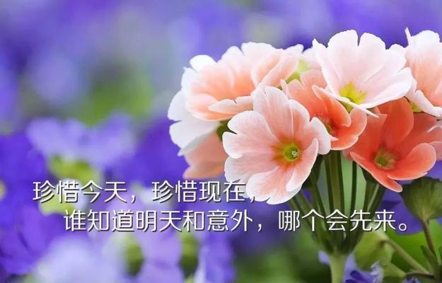 抖音早安励志句子说说怎么找？如何挑选适合自己的励志语录？