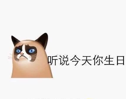 如何打造既高级又沙雕的生日祝福语？创意好句有哪些？