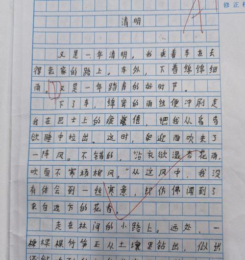 春日祭祖，小小心意