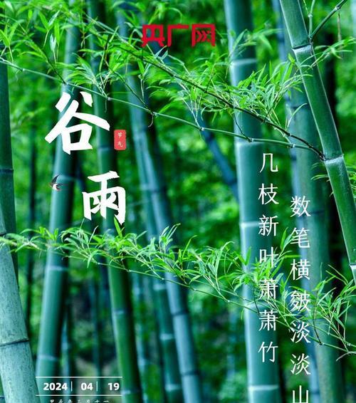 谷雨春归处，墨香绘锦年