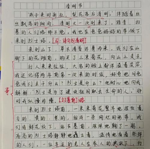 翠柳依依，清明思绪——一名高中生的祭祖之旅