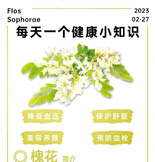 《槐花香中织春梦》