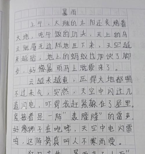 雨中绽放的勇气