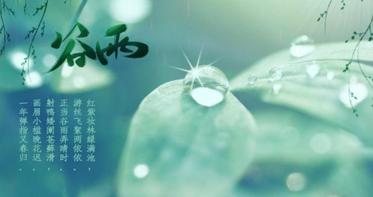 谷雨润心田，种子待时发