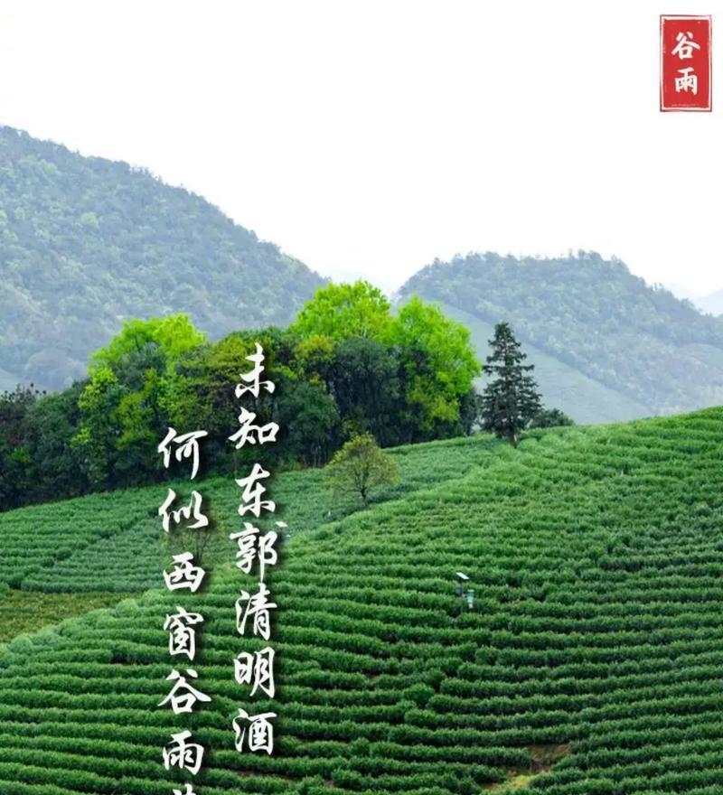 《谷雨时节赏春意，翠微之中品诗意》