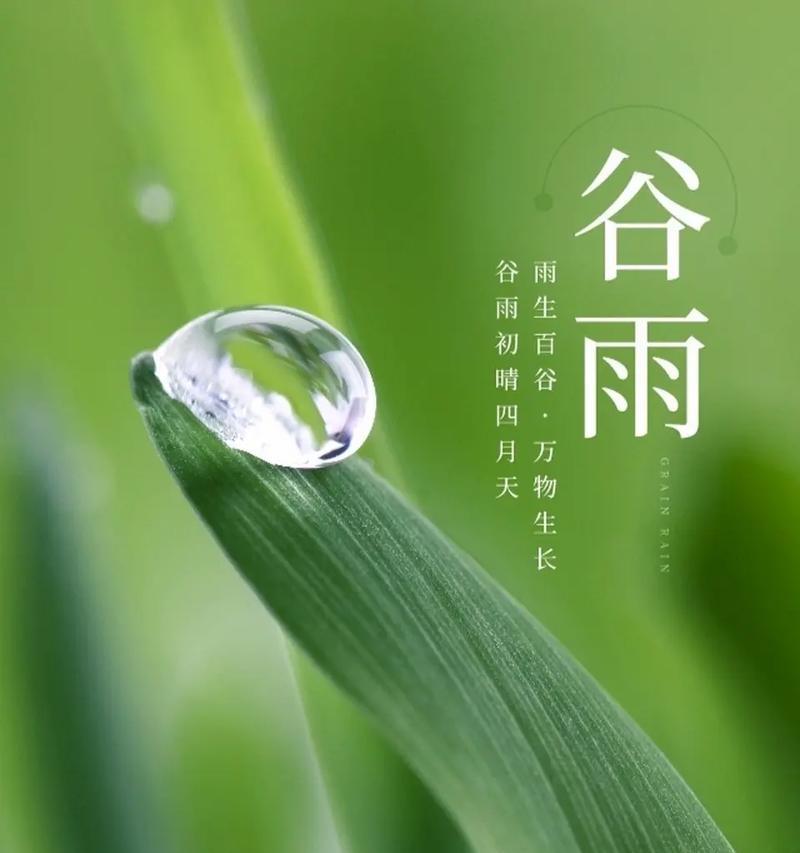 谷雨润泽，诗韵悠长
