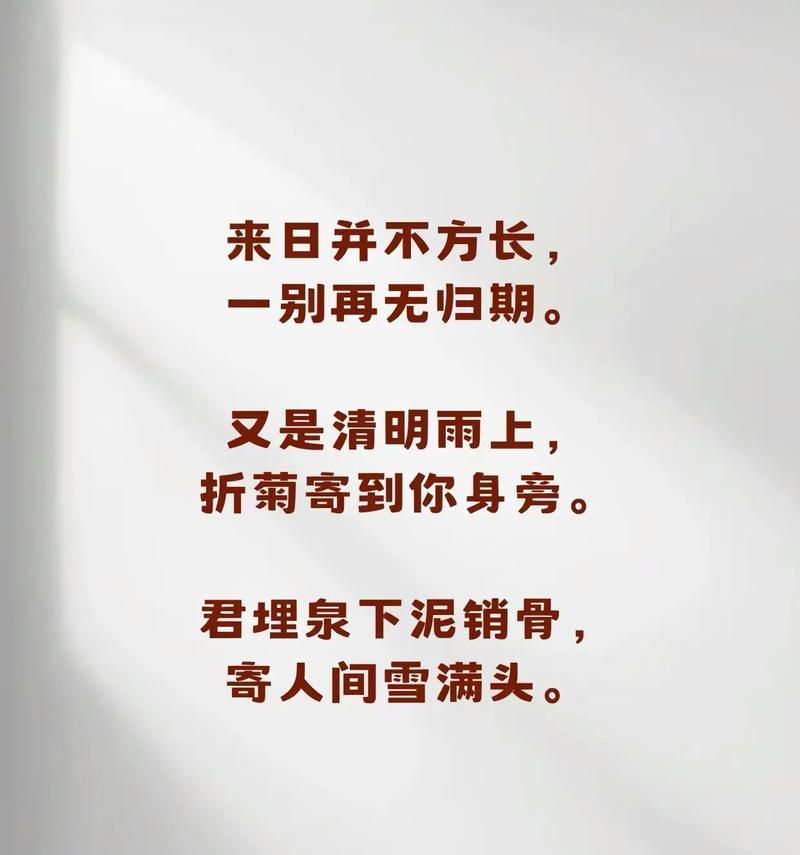 《折菊寄哀思》