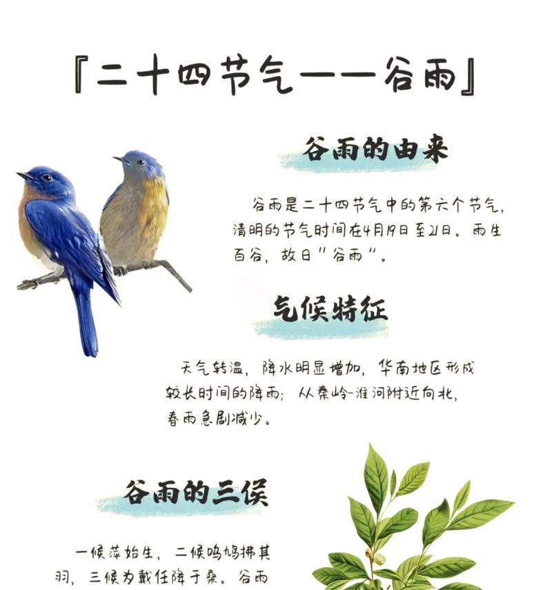 《雨润笔端，金句溢墨香：仓颉祭》