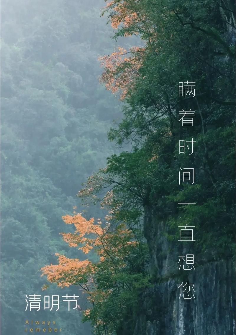 《清明细雨润花魂》