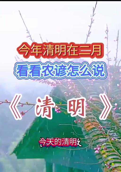 《清明：碧落黄泉，静思人生》