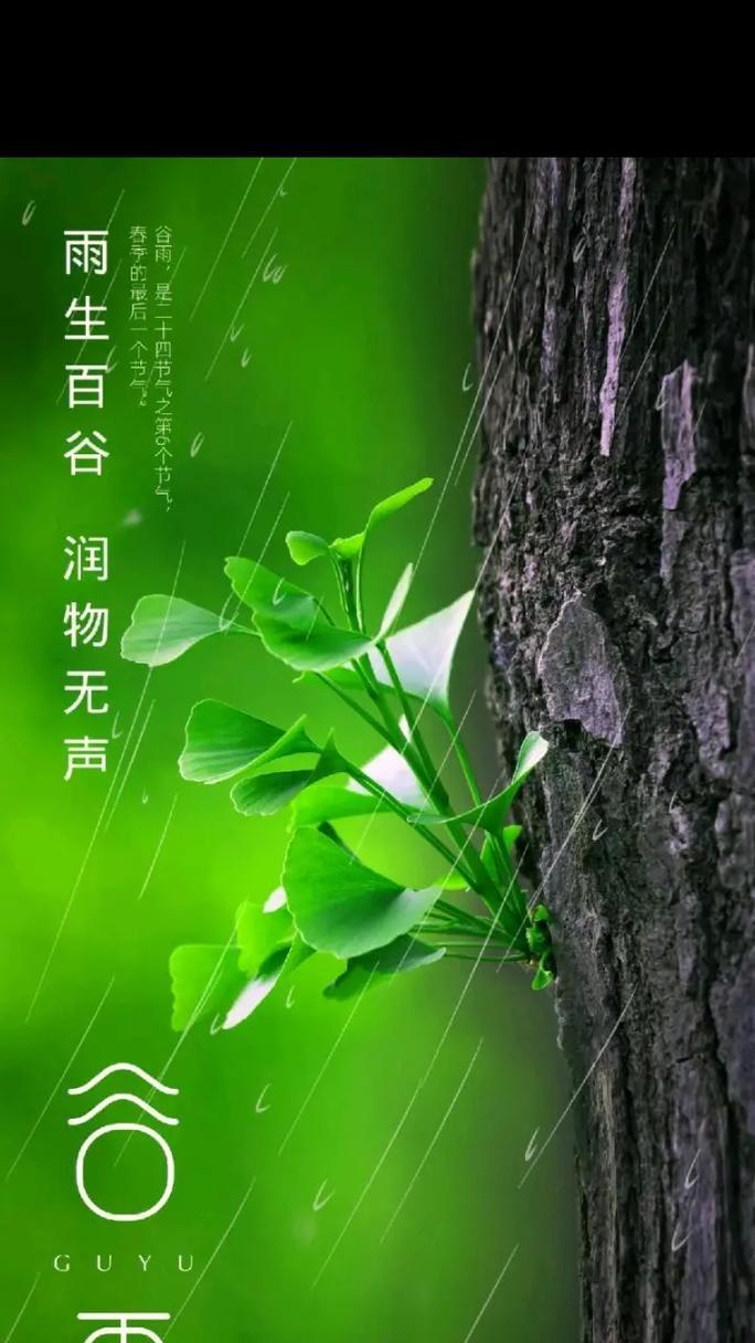 《雨润春谷：细述谷雨之韵味》