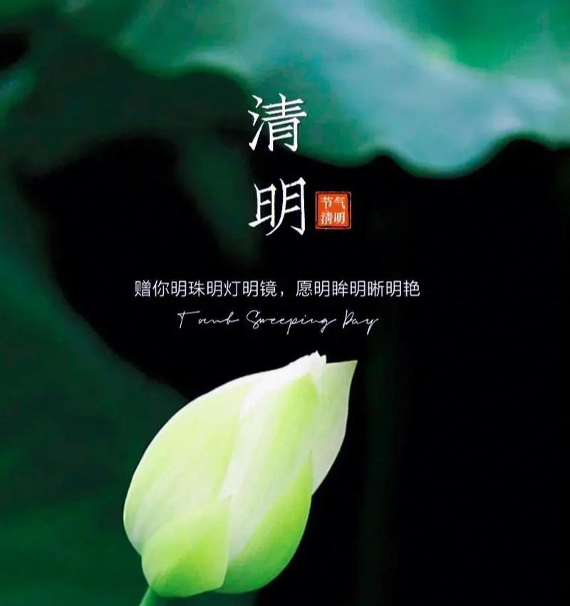 《津门春色：清明时节的雅韵》