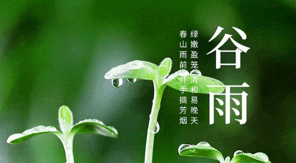 谷雨花事