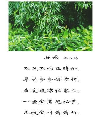 《谷雨诗韵：翠微深处的雨巷》