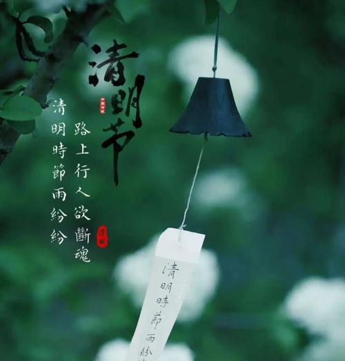 《清明之思：古道边花语》