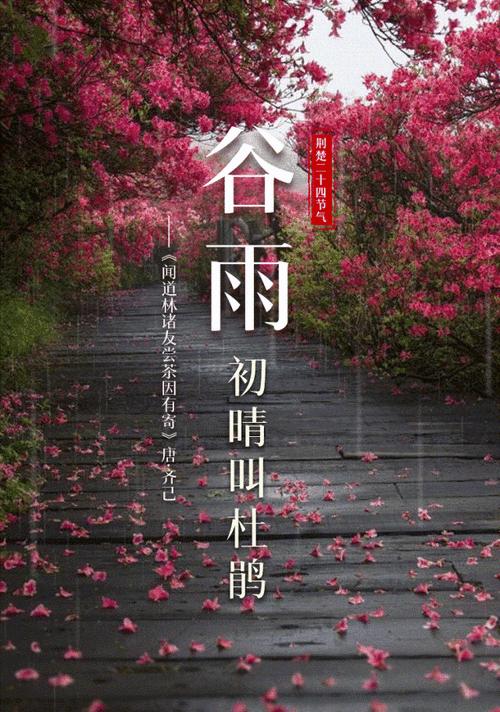 谷雨诗韵，河东中学里的墨香雅集
