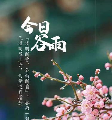 《谷雨花之韵：花开时节又一春》