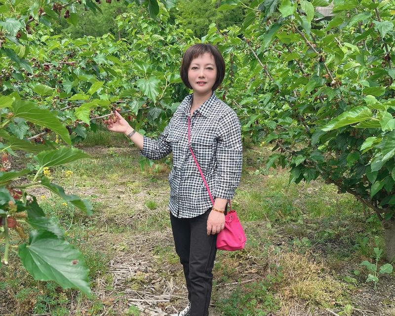 《谷雨桑田间，紫艳情深》