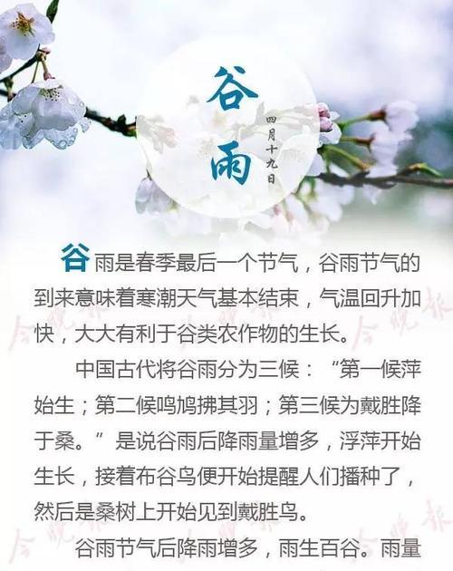 《雨润谷魂——谷雨时节的文化赏鉴》