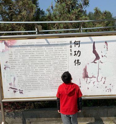 《缅怀清明：何功伟烈士墓前的诗意追思》