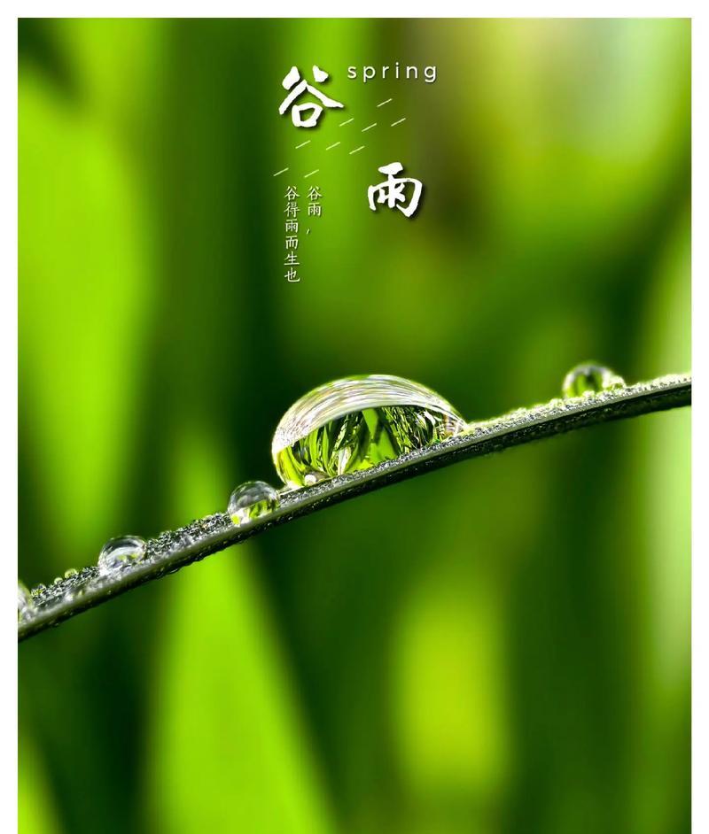《谷雨之际，润物无声》