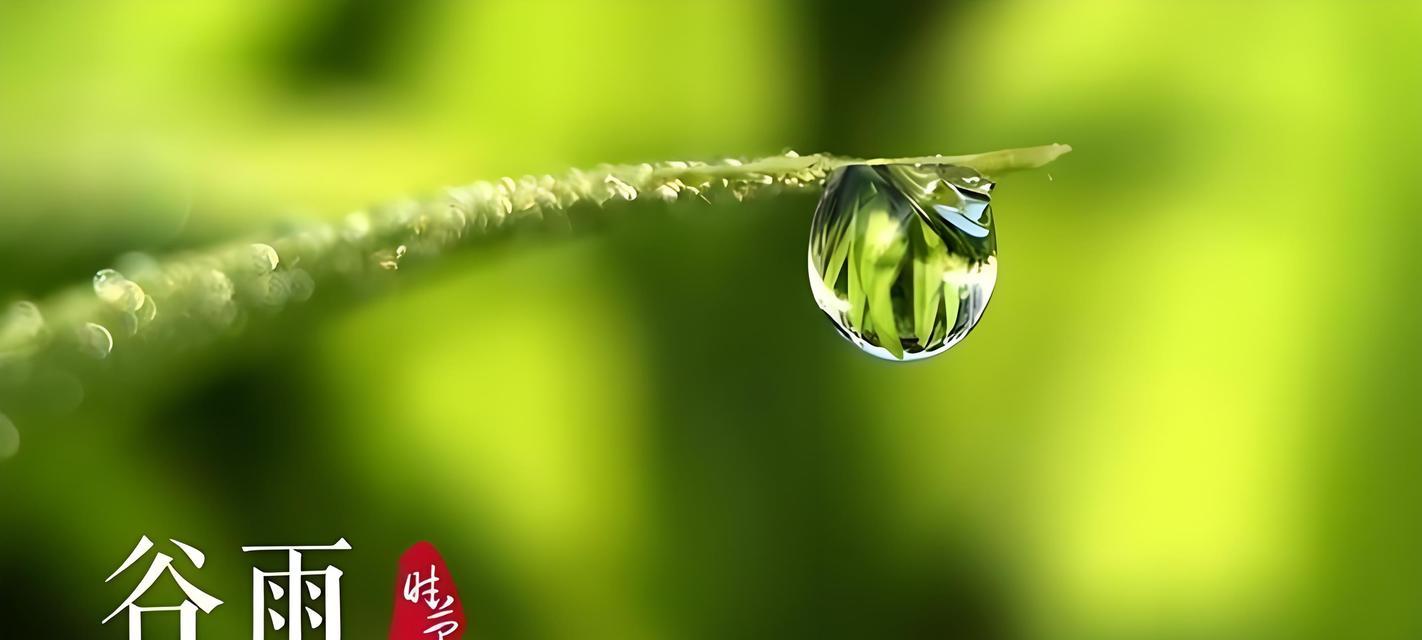 《雨霁虫鸣绘：谷雨时节的生命赞歌》