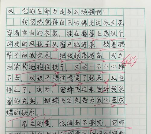 “你看那边的麦田，就像是一片金色的海洋。”阿峰的话语中带着对大自然的无限热爱。