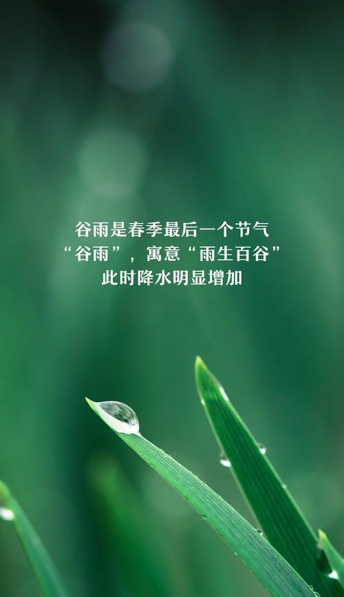 《谷雨润物细无声，丰年望秋实成》